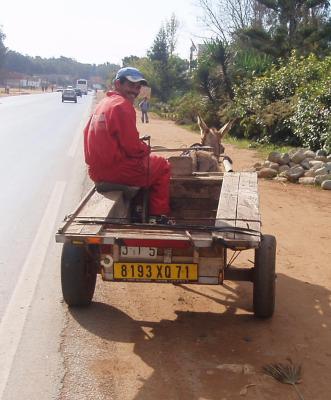 kenitra matricul de karrosa  lol